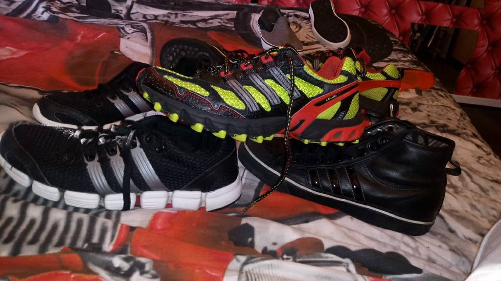 newton heath trainers